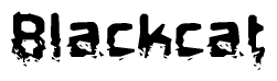 The image contains the word Blackcat in a stylized font with a static looking effect at the bottom of the words