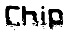 The image contains the word Chip in a stylized font with a static looking effect at the bottom of the words
