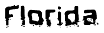 The image contains the word Florida in a stylized font with a static looking effect at the bottom of the words