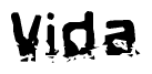 This nametag says Vida, and has a static looking effect at the bottom of the words. The words are in a stylized font.
