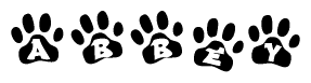 The image shows a series of animal paw prints arranged in a horizontal line. Each paw print contains a letter, and together they spell out the word Abbey.
