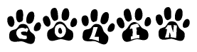The image shows a series of animal paw prints arranged horizontally. Within each paw print, there's a letter; together they spell Colin