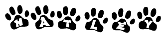 The image shows a row of animal paw prints, each containing a letter. The letters spell out the word Hatley within the paw prints.