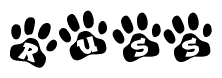 The image shows a series of animal paw prints arranged in a horizontal line. Each paw print contains a letter, and together they spell out the word Russ.