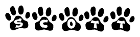 The image shows a row of animal paw prints, each containing a letter. The letters spell out the word Scott within the paw prints.