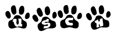 The image shows a series of animal paw prints arranged in a horizontal line. Each paw print contains a letter, and together they spell out the word Usch.