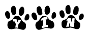 The image shows a series of animal paw prints arranged in a horizontal line. Each paw print contains a letter, and together they spell out the word Yin.
