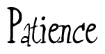 The image contains the word 'Patience' written in a cursive, stylized font.