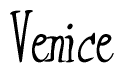 The image contains the word 'Venice' written in a cursive, stylized font.