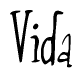 The image is of the word Vida stylized in a cursive script.