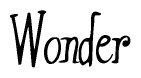 The image is of the word Wonder stylized in a cursive script.