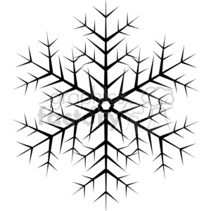 black vector snowflake