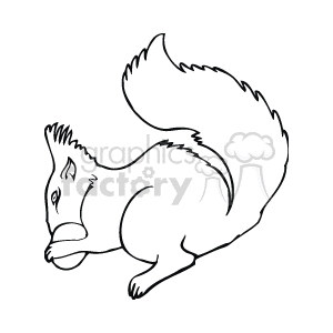 The clipart image shows a line art illustration of a squirrel holding a nut in its paws