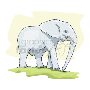 The clipart image shows a light gray elephant standing on a green patch, possibly representing grass. The background is a simple abstract form with shades of yellow, suggesting a plain or savannah environment that could be associated with an African setting.