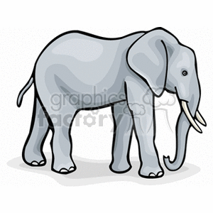The image appears to be a clipart representation of a gray African elephant. The elephant is depicted with prominent features such as large ears, long trunk, and tusks.