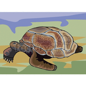 The image is a stylized illustration of a turtle. It has a prominent shell with shades of brown and tan, and a darker brown body. The turtle is depicted on land, with a simplified background that seems to represent a shoreline with blue water in the top corner and a sandy or grassy foreground.