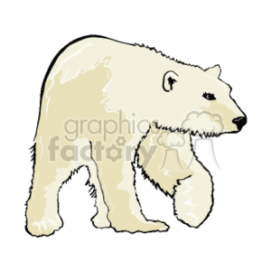 The image displays a clipart of a polar bear. The bear is white with some subtle shading to add dimension. It is drawn in a simplistic style characteristic of clipart.