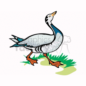 The image is a clipart of a goose. It features the goose in profile, standing on grass with its body colored in shades of gray and white, a long neck, and an orange beak and feet.