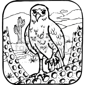 This is a black and white clipart image featuring a hawk standing prominently in the foreground. The bird is illustrated with attention to its feather patterns and strong talons. The background depicts a desert landscape, characterized by a cactus that resembles a saguaro, typical of desert scenery, and rolling hills that recede into the distance under a cloudy sky. The environment suggests a rough, rocky desert terrain, which is a typical habitat for various hawk species. The image encapsulates a country or rustic style, displaying elements associated with the wilderness and wildlife.