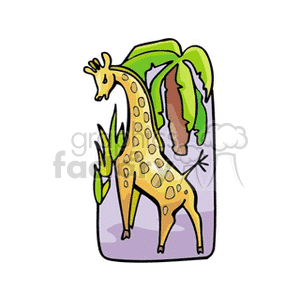 Giraffe standing next to palm tree and green tall grass