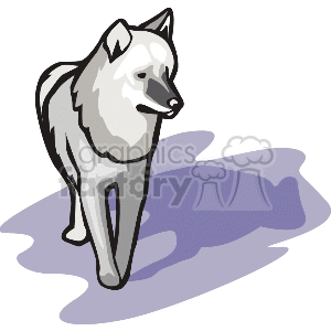 The clipart image shows a cartoon depiction of a gray wolf with white fur accents. The wolf is standing on all 4 legs and pointing towards the viewer 