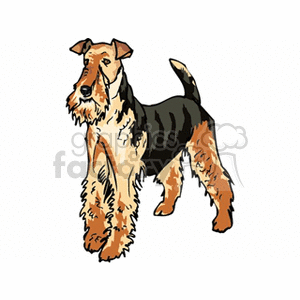 The image depicts a single dog that appears to be a breed with a wire-like fur texture. It is standing, facing slightly to the left of the viewer, with its ears perked up and its tail upright.