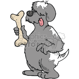 The image depicts a cartoon dog standing upright on two legs, holding a bone in its right paw. The dog has a shaggy coat with visible fur tufts on its head, tail, and body. It appears to be looking at the bone with a happy expression, its mouth open and tongue out, which adds a humorous and whimsical feel to the clipart. The bone is oversized in comparison to the dog, emphasizing its significance or the comical aspect of the drawing. The overall scene is a playful and exaggerated representation of a classic pet scenario, where a dog is excited about having a bone.