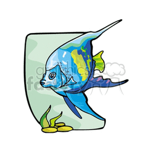 This clipart image contains a stylized depiction of a fish, which could be reminiscent of a type of angelfish given its color pattern and fin shape. The fish is illustrated with vibrant blue and yellow colors with a hint of green, and it appears to be swimming near the ocean floor as indicated by the presence of algae or seaweed and some pebbles.