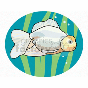 This is an image of a stylized cartoon fish with a predominantly white body and some orange tint around the face. The fish is depicted swimming among green aquatic plants or seaweed, with bubbles indicating its movement through water. The image has a circular frame with a light blue backdrop that suggests an underwater environment.