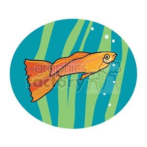 The clipart image features a stylized fish with orange and yellow tones, swimming among green aquatic plants, with a blue water background. Bubbles are visible around the fish, indicating its underwater movement.