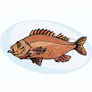 The clipart image displays a cartoon representation of a fish with a rounded body, prominent fins, and a slightly open mouth. It appears to be swimming against a plain background with a light oval-shaped outline suggesting water around the fish.