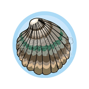 The image displays a stylized illustration of a seashell. The seashell has a pattern of alternating dark and light shades, possibly representing growth rings or natural color variations. The background suggests it might be underwater due to the blue hue behind the shell.