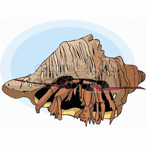The clipart image depicts a hermit crab using a shell as its home. The hermit crab's body is partially concealed within the shell and its eyes on stalks, claws, and legs are visible.