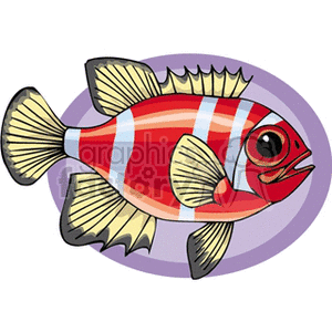 This image depicts a stylized, colorful clipart of a tropical fish with red and white stripes, accentuated with yellow fins, and a purple circle providing a backdrop which could represent water.