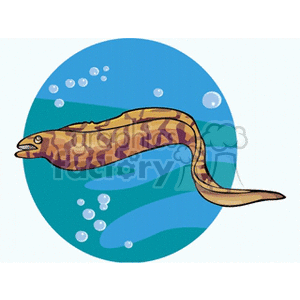 The clipart image shows a cartoon of a patterned eel swimming underwater. There are bubbles around it, suggesting its underwater movement.