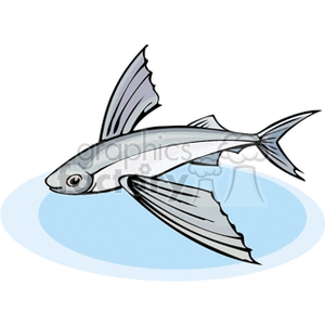The clipart image depicts a flying fish, which is a type of fish known for its ability to glide above the water's surface. This fish is characterized by its large, wing-like pectoral fins that allow it to take flight. The fish is shown mid-glide over a blue water background, embodying the essence of tropical and exotic marine life.