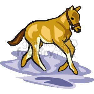 The image is a clipart illustration of a horse. The horse appears to be galloping, with its left front leg raised as if in mid-step. It is wearing a halter on its head. The style of the image is simple and cartoon-like, with bold outlines and flat colors. The horse is depicted in shades of brown and tan, and there's a small shadow beneath it, suggesting that it is standing on a surface, but no detailed background is shown.