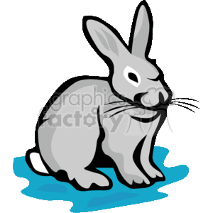The clipart image depicts a stylized rabbit, commonly known as a bunny. The rabbit is shaded in grey, with white accents around its paws and tail area, and it appears to be seated on a blue surface. The image captures the essence of the animal in a simple, graphic form that's commonly used for Easter-related themes or to represent the animal itself in various contexts.