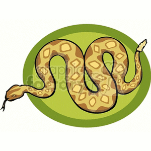 The image is a clipart illustration of a rattlesnake. The snake has patterned scales and a rattle at the end of its tail, typical features of rattlesnakes. It is coiled up and displayed against a green oval background.