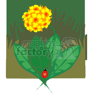 This clipart image illustrates a nature scene with a vibrant bouquet of yellow flowers with red centers, set against a backdrop of green leaves and foliage. A ladybug is perched on one of the large green leaves, adding a touch of life to the floral display.