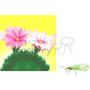 The clipart image features two stylized pink lotus flowers with yellow centers, blooming above green lily pads. There is a radiant light effect in the background, giving the appearance of sunlight. To the right, there is a graphic of a green, patterned grasshopper.