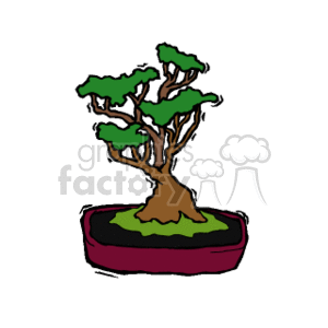 The image depicts a clipart of a bonsai tree. The bonsai is stylized with a thick trunk that tapers up to a canopy of green foliage. It is planted in a shallow, rectangular bonsai pot, which is common for such miniature trees.