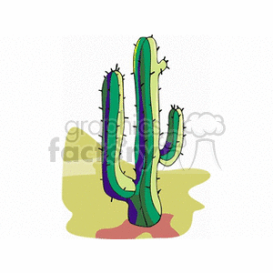 cactus11