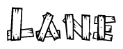The image contains the name Lane written in a decorative, stylized font with a hand-drawn appearance. The lines are made up of what appears to be planks of wood, which are nailed together