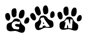 The image shows a row of animal paw prints, each containing a letter. The letters spell out the word Can within the paw prints.