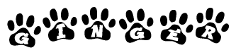 The image shows a series of animal paw prints arranged in a horizontal line. Each paw print contains a letter, and together they spell out the word Ginger.