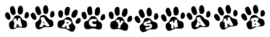The image shows a series of animal paw prints arranged in a horizontal line. Each paw print contains a letter, and together they spell out the word Marcyshamb.