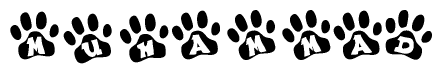 The image shows a series of animal paw prints arranged in a horizontal line. Each paw print contains a letter, and together they spell out the word Muhammad.