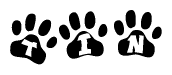The image shows a row of animal paw prints, each containing a letter. The letters spell out the word Tin within the paw prints.