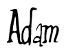 The image is of the word Adam stylized in a cursive script.